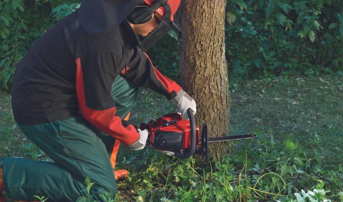 EINHELL - GC-PC 2040 I
